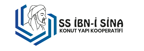 -İBN-İ SİNA LOGO-DF_Çalışma Yüzeyi 1